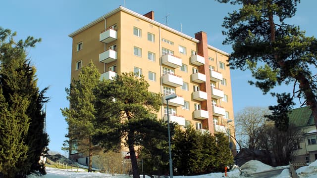 Keltainen kerrostalo talvisessa maisemassa, etualalla mäntyjä