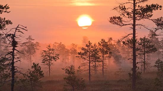 Luonnonsuojeluun merkittävä lisärahoitus