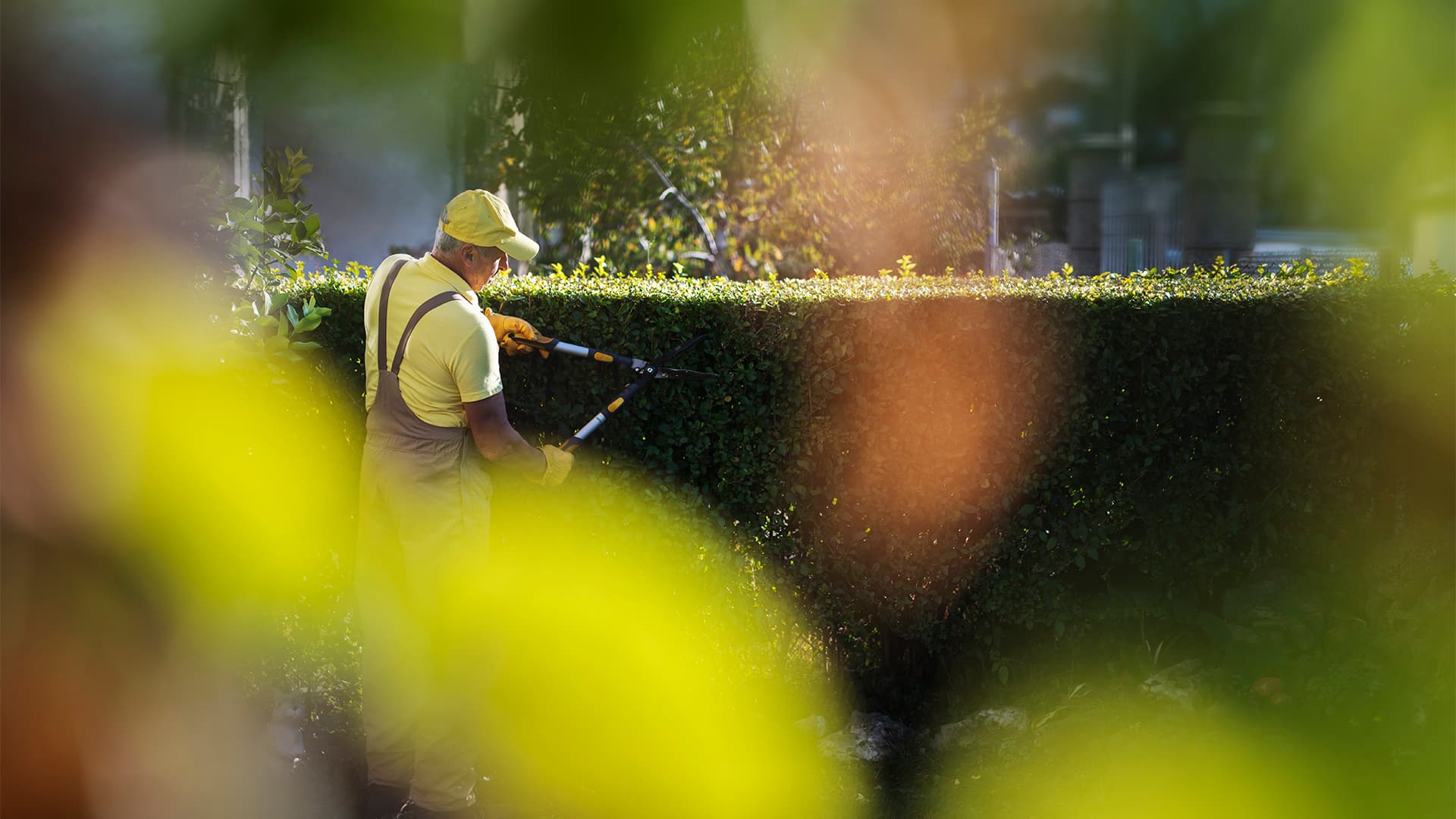 Hyvin hoidettu piha nostaa taloyhtiön arvoa