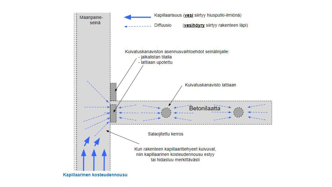 <p data-block-key="stpcf">Kapillaaritiehyeiden kuivuminen</p>