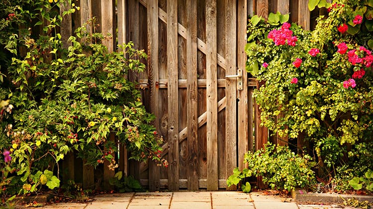 Kaunis portti johdattaa pihaan ja puutarhaan