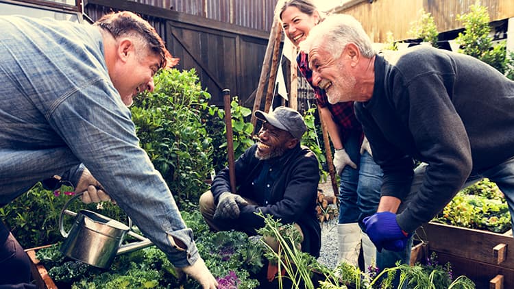 Talkoot yhdistävät ja erottavat