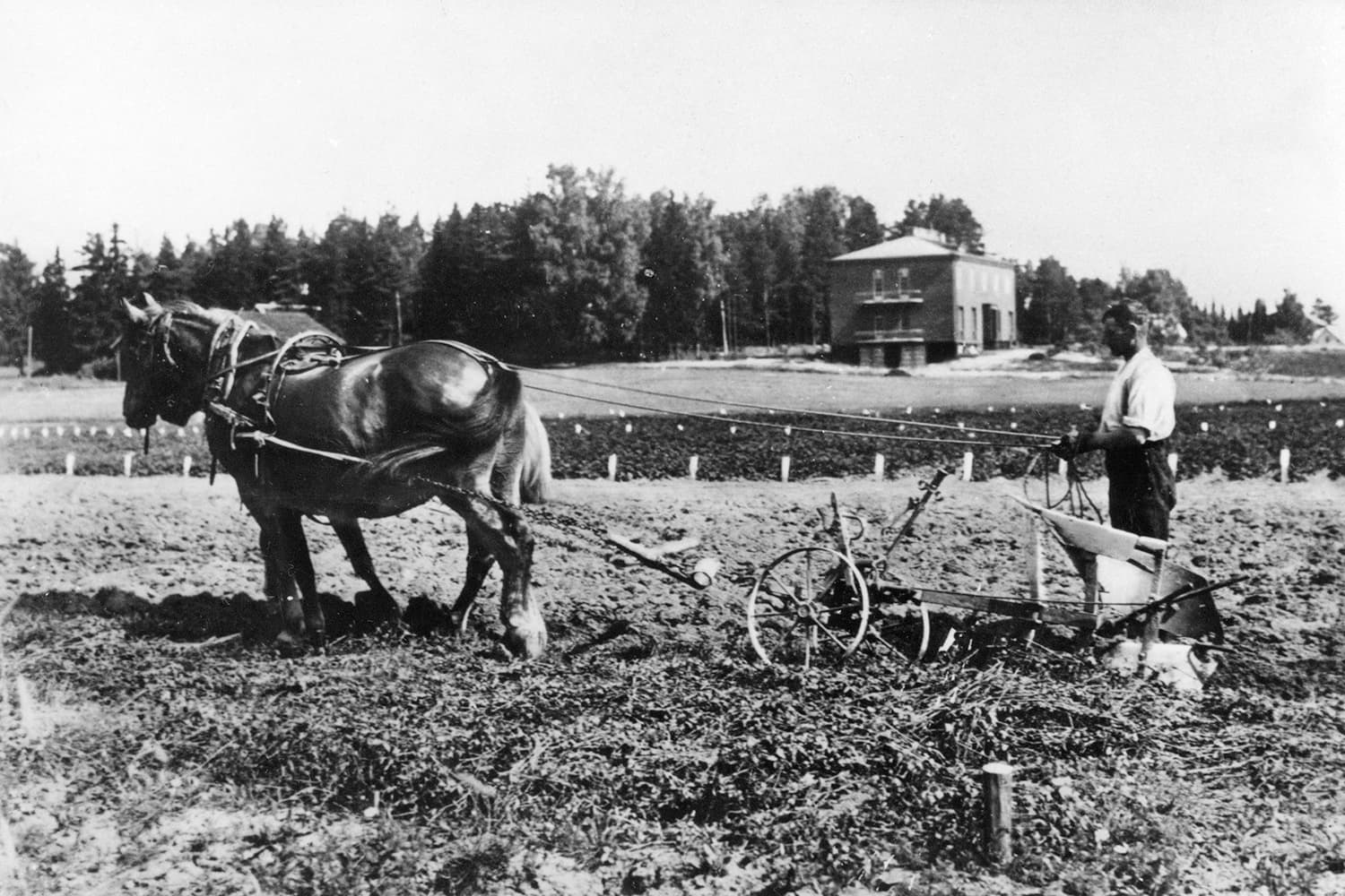 <p data-block-key="6bwqh">Esimerkki Vantaan kaupunginmuseolta löytyneistä kuvista. Assistenttien talo näkyy taustalla.</p>