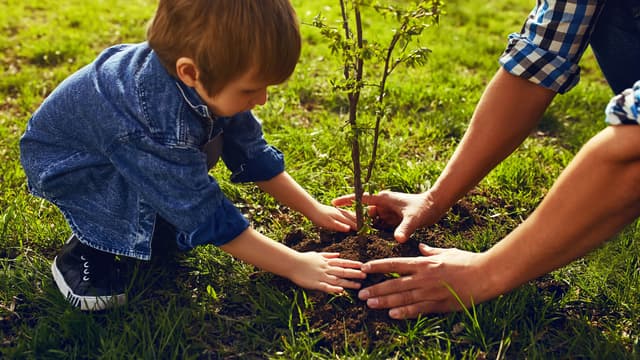 isä ja poika istuttavat pihalle puuta