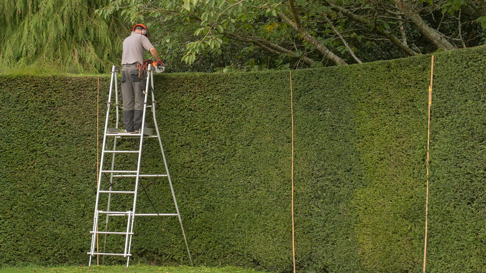 Miten korkeaksi talo­yhtiössä saa aidan kasvattaa?