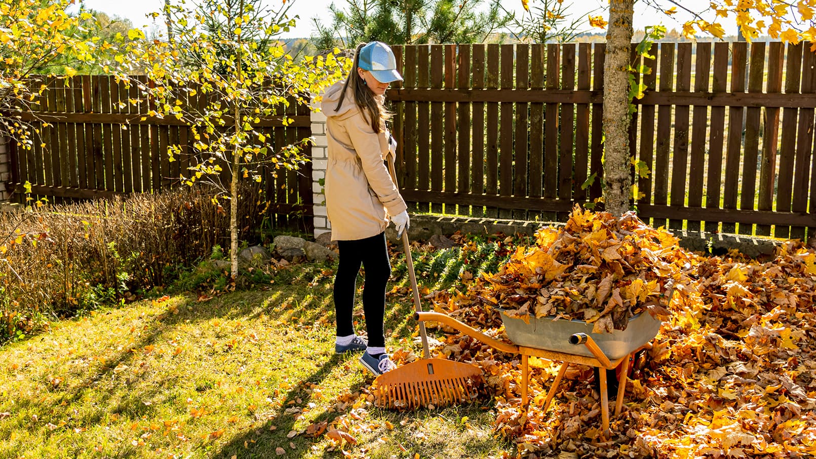 Haravoinnin tarpeellisuus