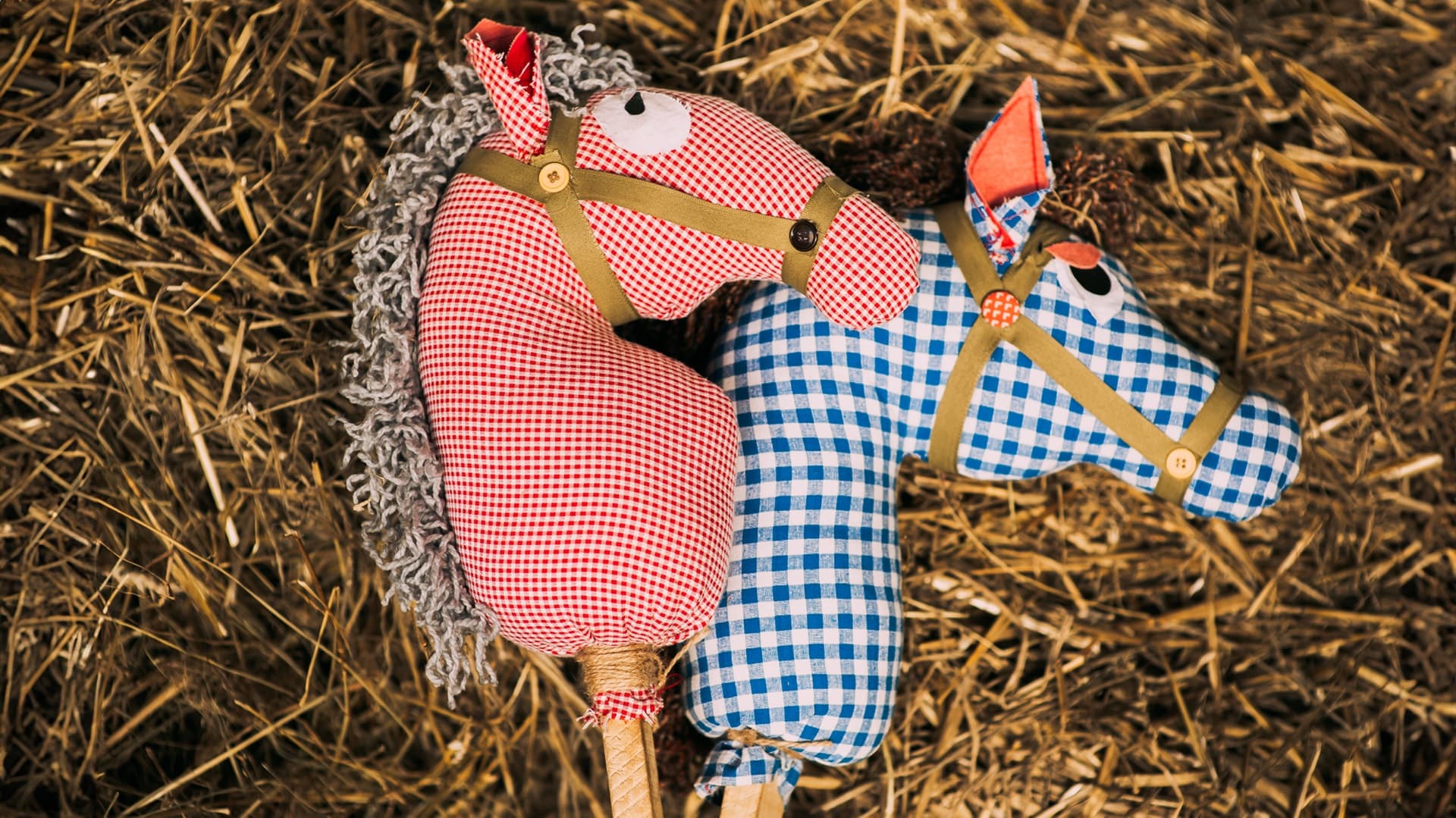 Keppihevosella yli esteiden