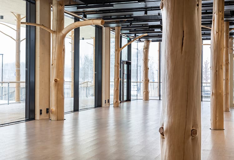 Pikku-Finlandia on männyn käytön taidonnäyte – Näin se syntyi