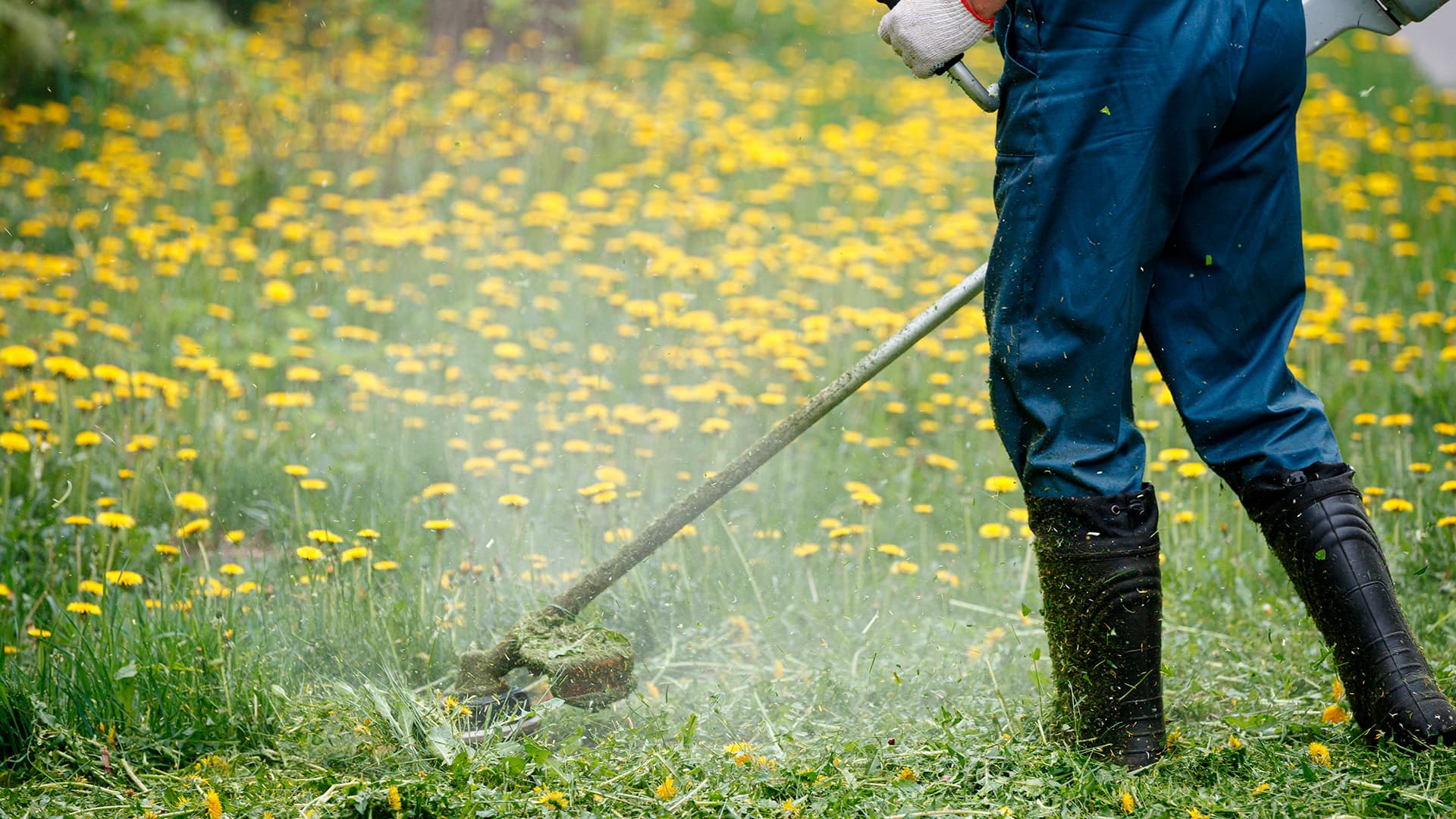 Trimmeri käyttövalmiiksi – helpot ohjeet ja huoltovinkit puutarhaharrastajalle