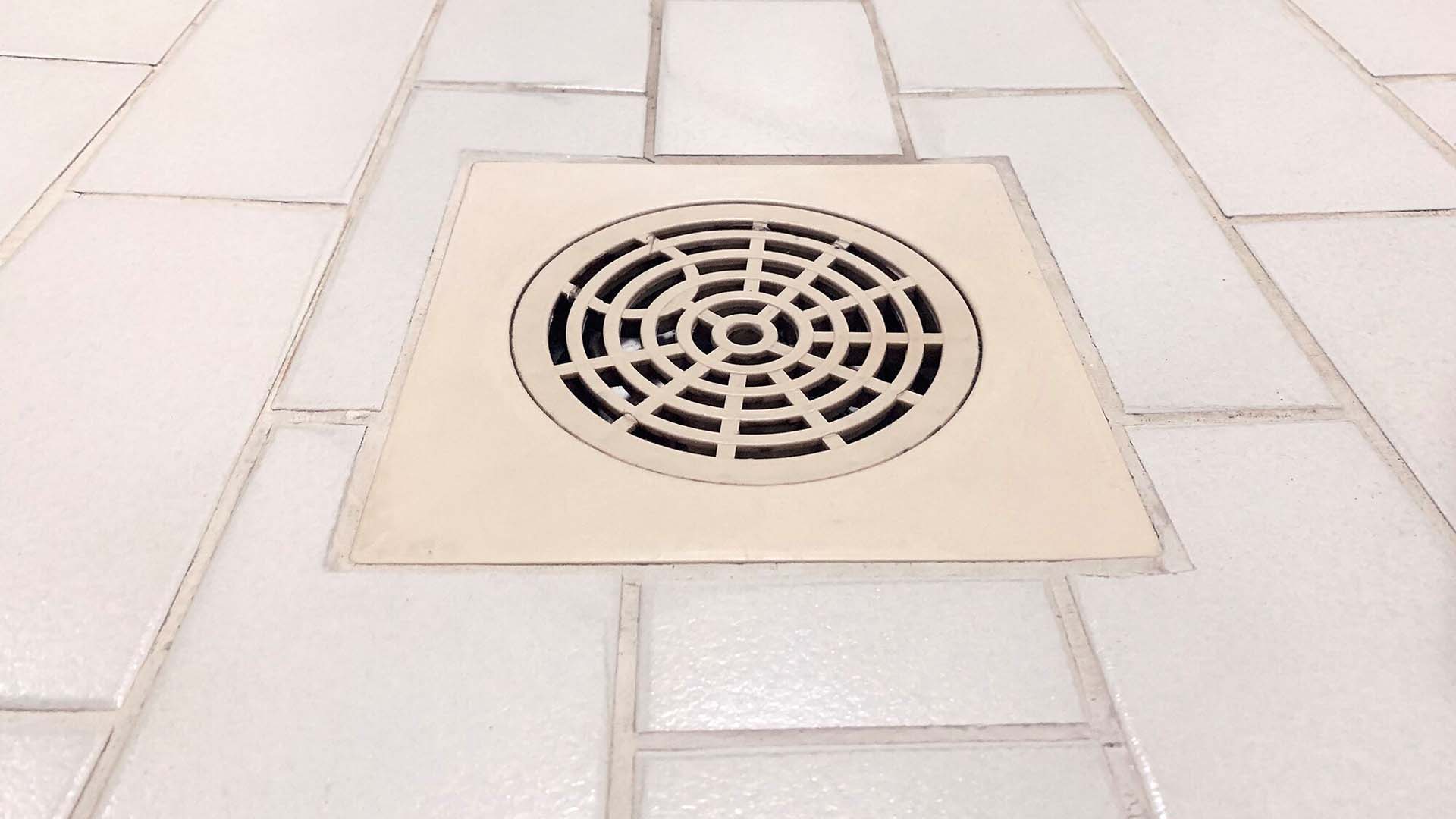 viemärinhaju asunnossa