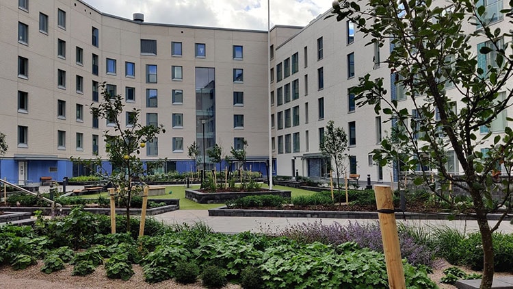 taloyhtiön pihan hoito