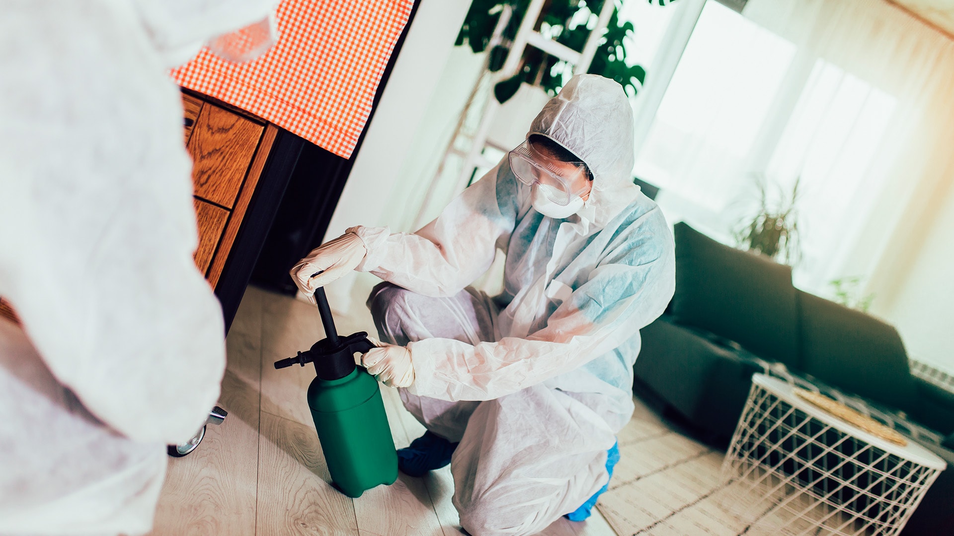 luteita taloyhtiössä 1920x1080