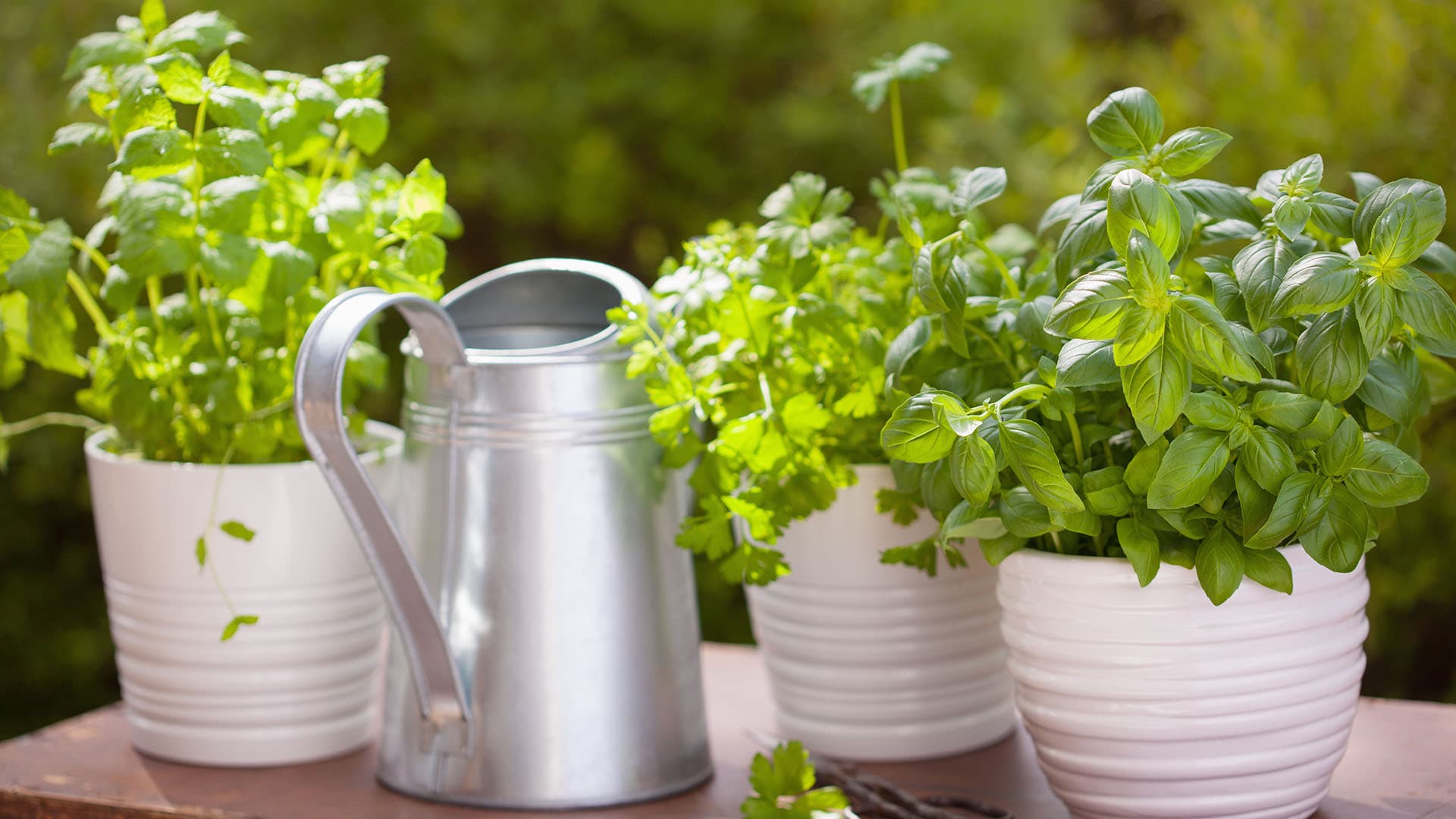 Terassipuutarhassa väriloistoa ja pikkuherkkuja