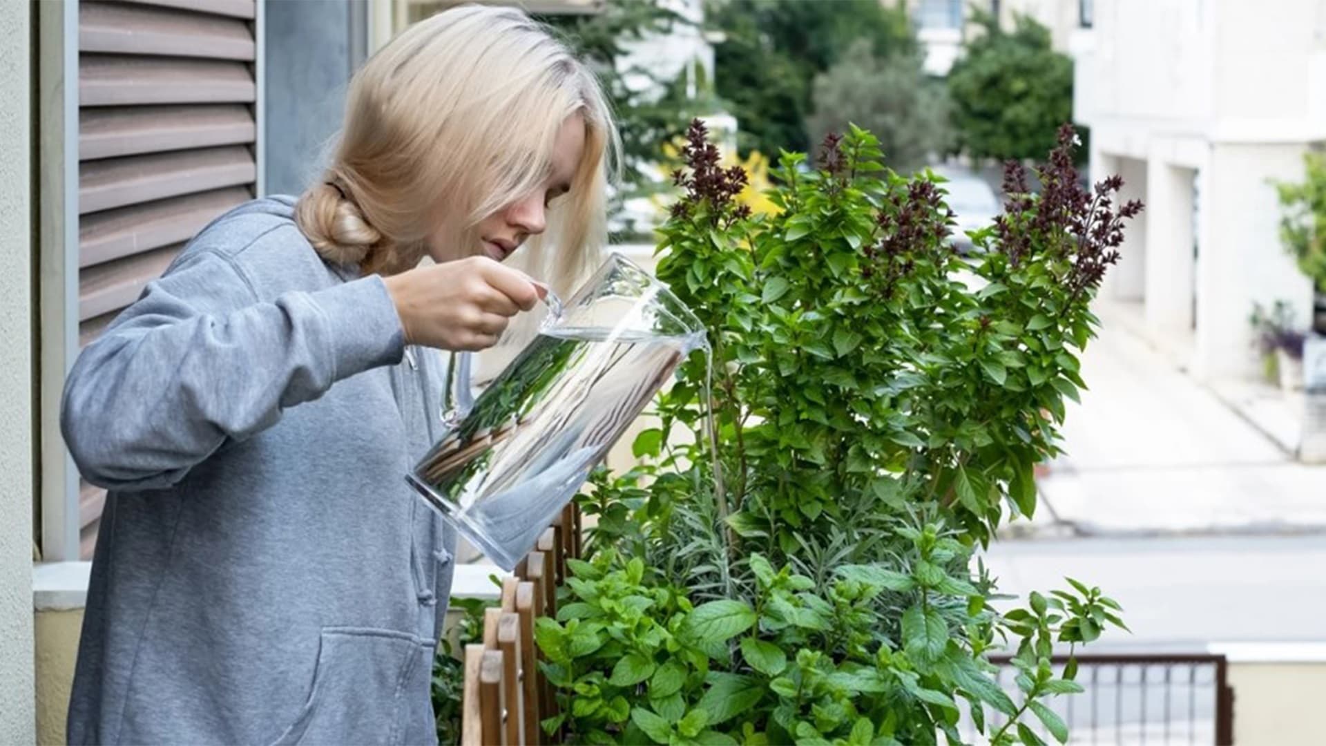 Omaa satoa parvekepuutarhasta helposti ja vaivattomasti