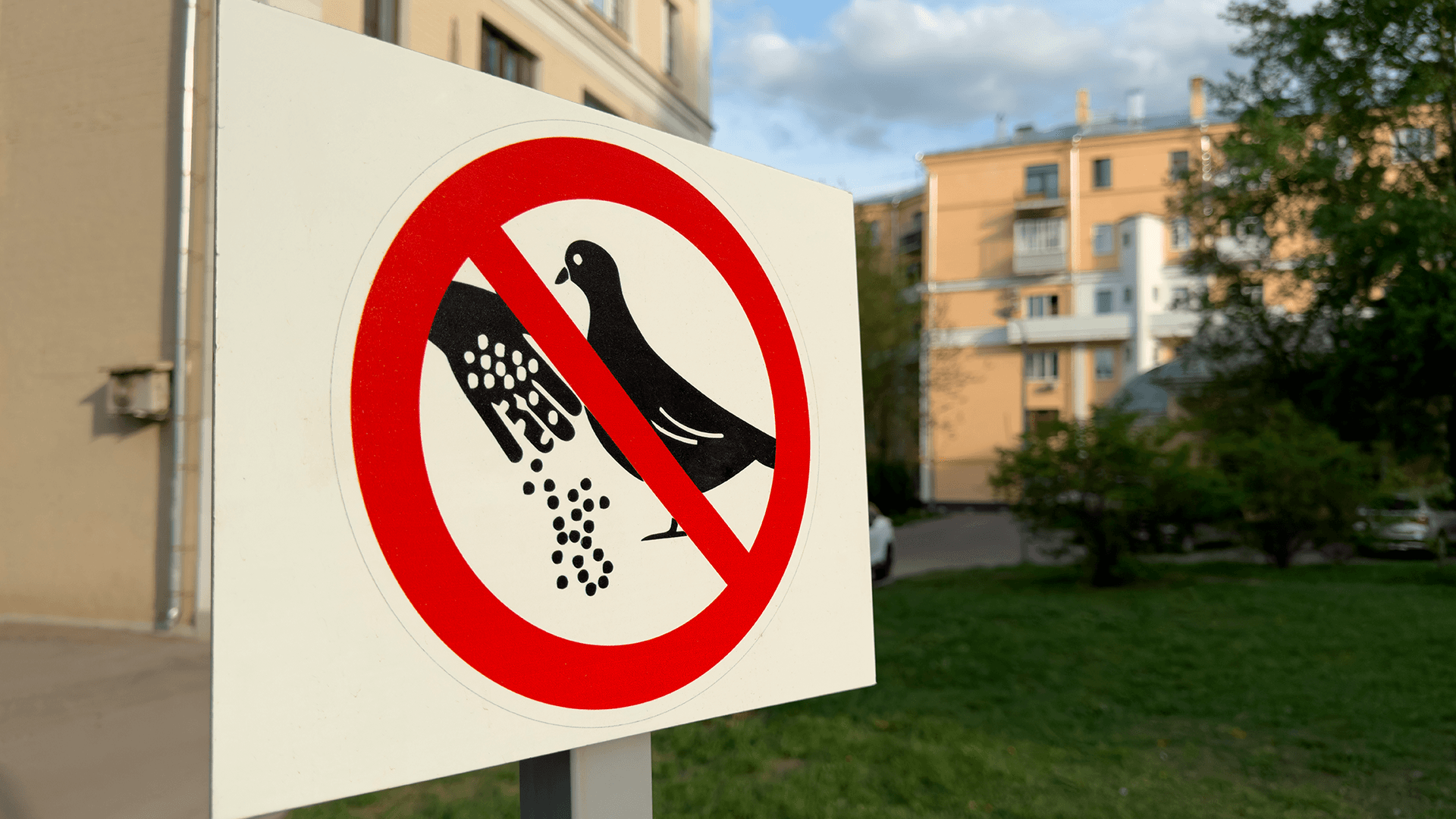 <p data-block-key="x6od2">Ruokinta-automaatti vähentää siemenjätteitä ja roskia. Hallittu toteutus ehkäisee jyrsijöitä ja pitää pihan viihtyisänä. (Kuva Adobe Stock)</p>