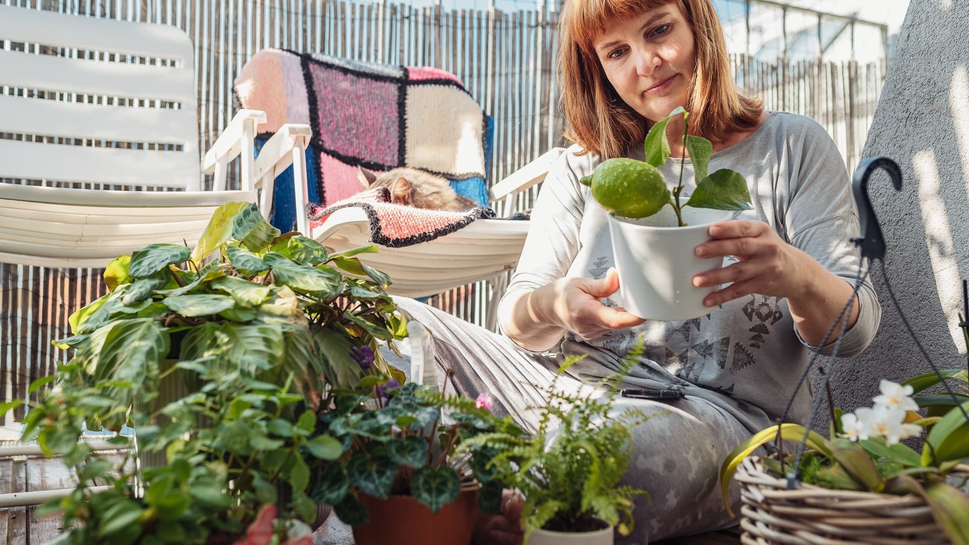 Parvekkeen hoitotyöt – Mitä parvekepuutarhurin tulisi muistaa?